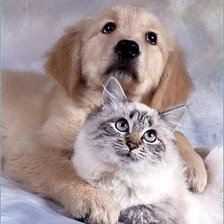 Cross stitch pattern: #949290