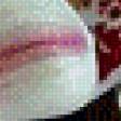 Preview of cross stitch pattern: #949295