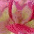 Preview of cross stitch pattern: #949297