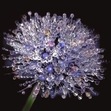 Cross stitch pattern: #949320