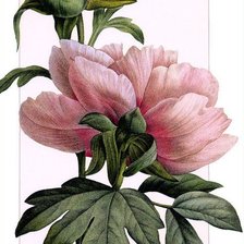 Cross stitch pattern: #949327