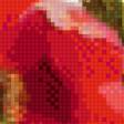 Preview of cross stitch pattern: #950370