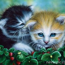 Cross stitch pattern: #950437