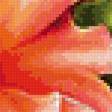 Preview of cross stitch pattern: #950882