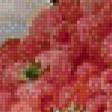 Preview of cross stitch pattern: #950927