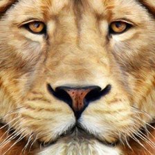 Cross stitch pattern: #951825