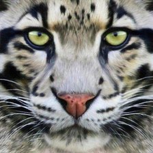 Cross stitch pattern: #951826