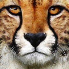 Cross stitch pattern: #951832