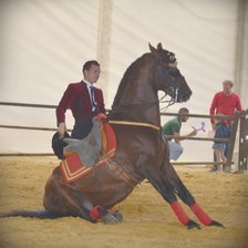 Cross stitch pattern: #952536