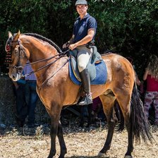 Cross stitch pattern: #952537