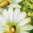 Preview of cross stitch pattern: #952792