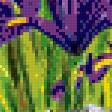 Preview of cross stitch pattern: #953505