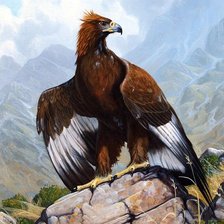 Cross stitch pattern: #953628
