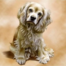 Cross stitch pattern: #954409