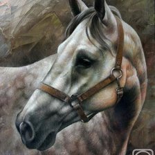 Cross stitch pattern: #955226