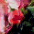 Preview of cross stitch pattern: #955325