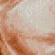 Preview of cross stitch pattern: #955327