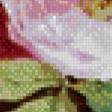 Preview of cross stitch pattern: #955615
