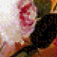 Preview of cross stitch pattern: #955618