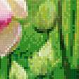 Preview of cross stitch pattern: #955712