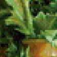 Preview of cross stitch pattern: #955715