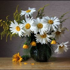 Cross stitch pattern: #956236