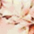 Preview of cross stitch pattern: #956256