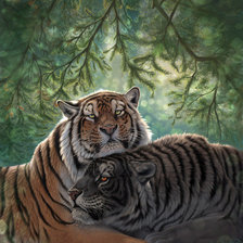 Cross stitch pattern: #956664