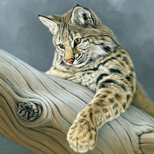 Cross stitch pattern: #956678