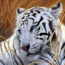 Cross stitch pattern: #957620