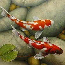 Cross stitch pattern: #957907