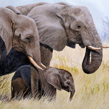 Cross stitch pattern: #958776