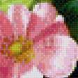 Preview of cross stitch pattern: #959393