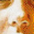 Preview of cross stitch pattern: #959553