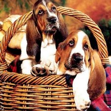 Cross stitch pattern: #961186