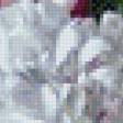 Preview of cross stitch pattern: #961859
