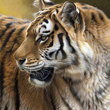 Cross stitch pattern: #962654