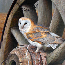 Cross stitch pattern: #962660