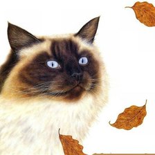 Cross stitch pattern: #962675