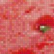 Preview of cross stitch pattern: #963210