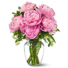 Cross stitch pattern: #963566