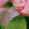 Preview of cross stitch pattern: #963571