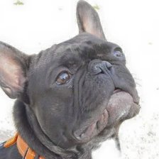 Cross stitch pattern: #963727