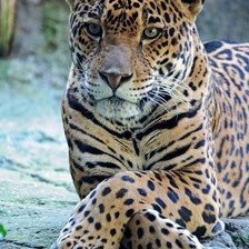 Cross stitch pattern: #963962
