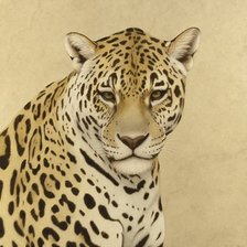 Cross stitch pattern: #964077