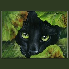 Cross stitch pattern: #964105