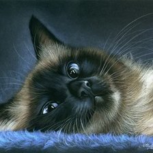 Cross stitch pattern: #964117