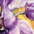 Preview of cross stitch pattern: #964603