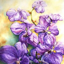 Cross stitch pattern: #964603