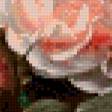 Preview of cross stitch pattern: #964607